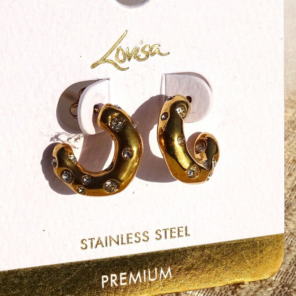Louisa Gold Tone with tiny Crystals Small Circle Earrings NEW